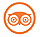 TripAdvisor icon